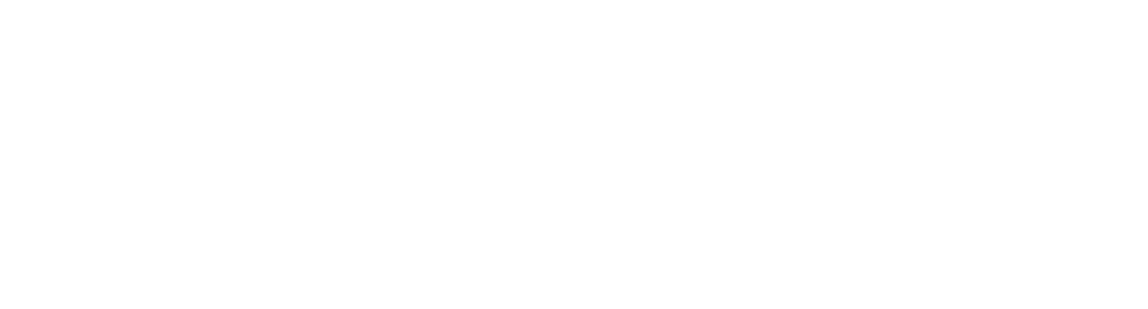 Stappie ICT
